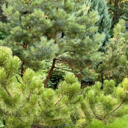 IMG_3017d5b5815ede38a4c4