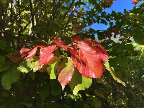 IMG_5139-2c15e31fbad63fd9c.jpeg